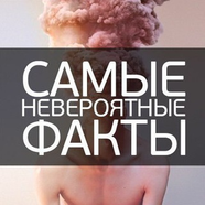 Интересные Факты