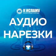 Аудио нарезки на актуальные темы