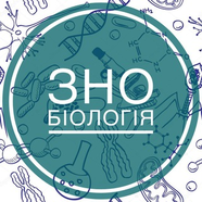 Біологія ЗНО 2019