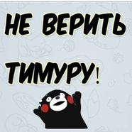 TimurS crypto