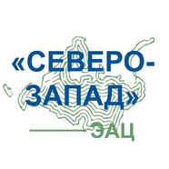 Екатерина Колесникова