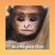 Разумная Обезьянка