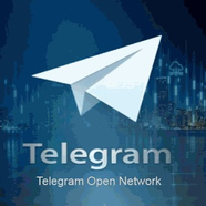 Blockchain Platform Info