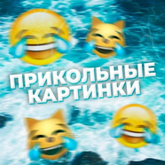 Прикольные картинки/видио/гиф