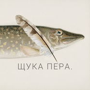 Это Щукин