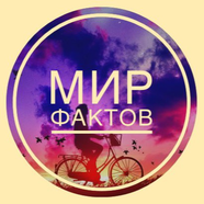 Мир фактов