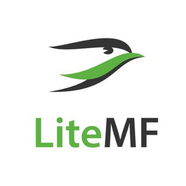 LiteMF. Скидки в США и Европе. Шопинг и доставка.