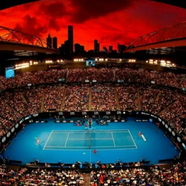 Tennis market🎾