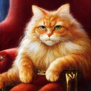Кот ХП
