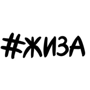 #жиза