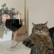 Алкотрип