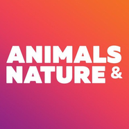 Animals & Nature - beautiful photos and interesting facts
