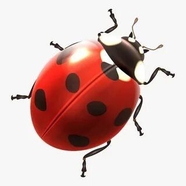 ФСН 🐞
