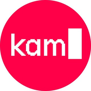 kamyshev.code