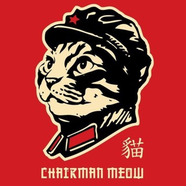 Кот Хунвэйбина