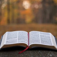 📖 Ł€ٱД کцД βٱβŁٱД 🌸