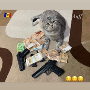 💣MOLDOVAN STAVIT💣