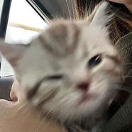 -ʙᴜɴɴʏ ᴅɪᴀʀɪᴇs🐰🌿🌸