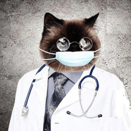 Medical photo album