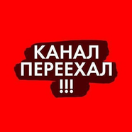 Комнатные растения | florida