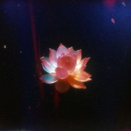 𝑀𝑒𝑟𝑐𝑢𝑟𝑦